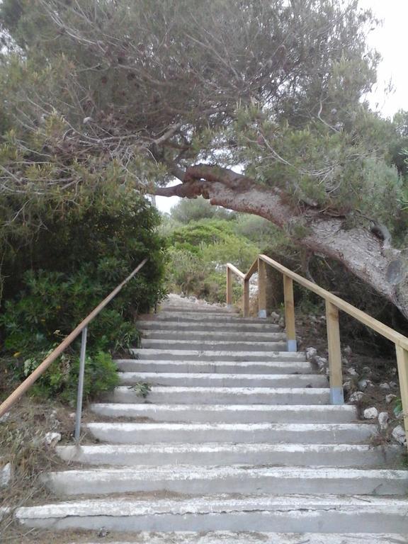 فيلا Casa Damienne بورتو كريستو المظهر الخارجي الصورة